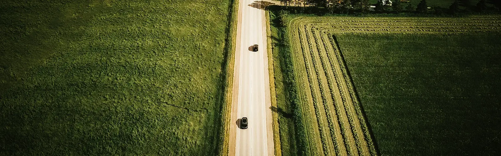 entreprenadtjänster