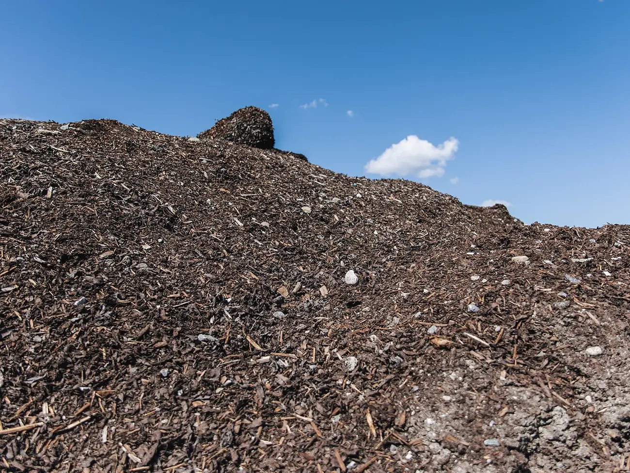 test entreprenadtjänster