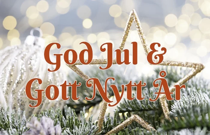 Nyhetsbrev – God Jul & Gott Nytt År, Allmiljö firar 25 år, nya lokaler i Umeå